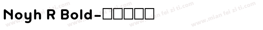 Noyh R Bold字体转换